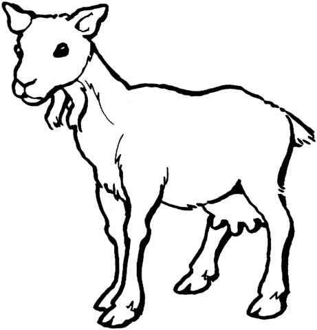 Female Goat Coloring Page